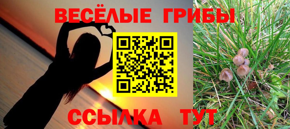 Галлюциногенные грибы Psilocybe  Вход с VPN  Лобня 
